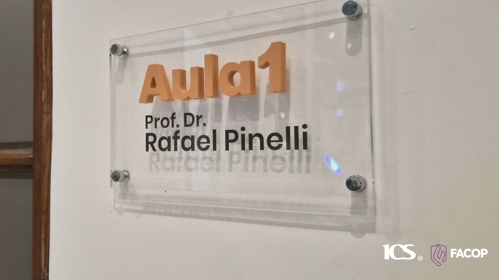 Aula 1 · Prof. Dr. Rafael Pinelli